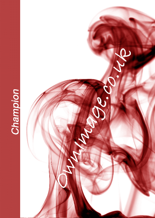 DSC_0053 oi